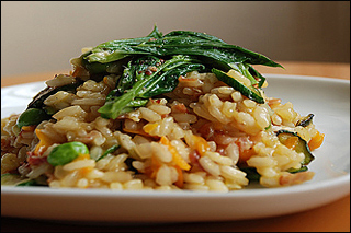 A mound of rice sits on top of a white plate.  A large leafy green vegetable sits on top of the rice.