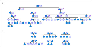 Pedigrees showing two approaches for collecting families for linkage analysis.