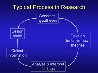 Typical Process in Research.