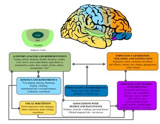 Figure illustrating areas of the brain that may be involved in different aspects of music perception and performance.