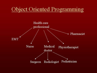 An object oriented programming diagram of health care professions and sub-specialties.