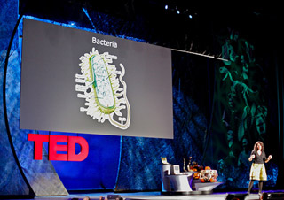 A woman is giving a presentation in front of a large projector of an image of bacteria.