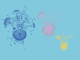 A blue, a pink, and a yellow collection of dots that are connected to one another, within their colors, by lines.