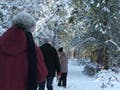 People walking through snow-covered woods.
