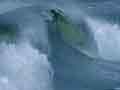 A photograph of an ocean wave cresting.