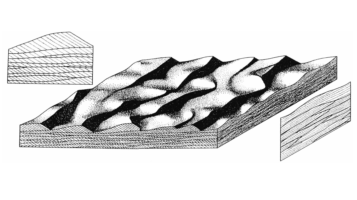 Illustration of a rock with a wave pattern, depicting cross-stratification created by three-dimensional dunes in unidirectional flows.