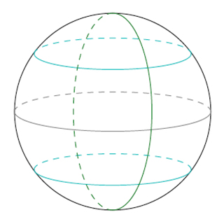 A circle with latitude lines and longitude lines inside.