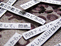 Strips of paper scattered on fabric contain printed comments  from a Japanese blog.