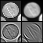 Sequence of four images of a coin, with progressively less detail and resolution.