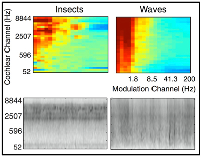 Two pairs of plots, x-axis=modulation channel and y-axis=cochlear channel, showing differences between the sounds of insects and waves.