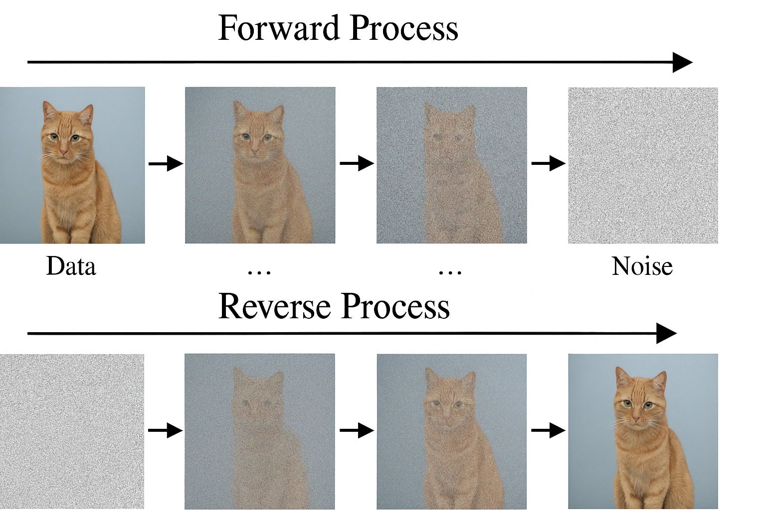 Diagram showing a cat image turning into noise in four steps in the forward process, then noise turning back into the cat image in the reverse process.