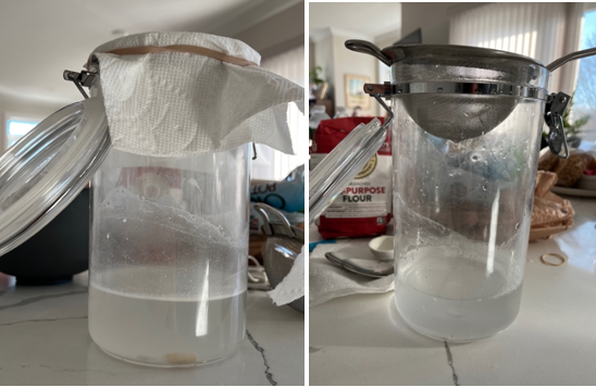 Left, glass jar containing murky liquid with the top covered with a paper towel secured by a rubber band. Right, glass jar containing murky liquid with a sieve over the opening.