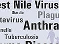An image listing many human diseases and below, a raccoon.