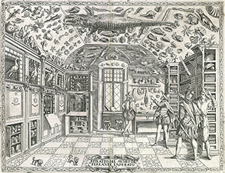 A black and white image depicting 4 men in Shakespearan garb looking at natural history objects in a museum. 