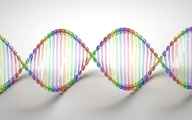Two rainbow curved lines represent the double helix of DNA. 